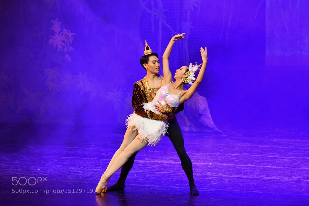 Nikon D500 sample photo. Manorah fantasy & peter pan 2018 photography