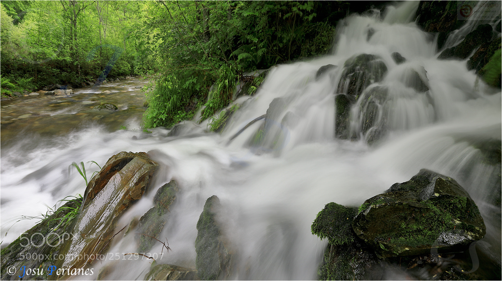 Canon EOS 5D Mark IV sample photo. Rincones de primavera photography