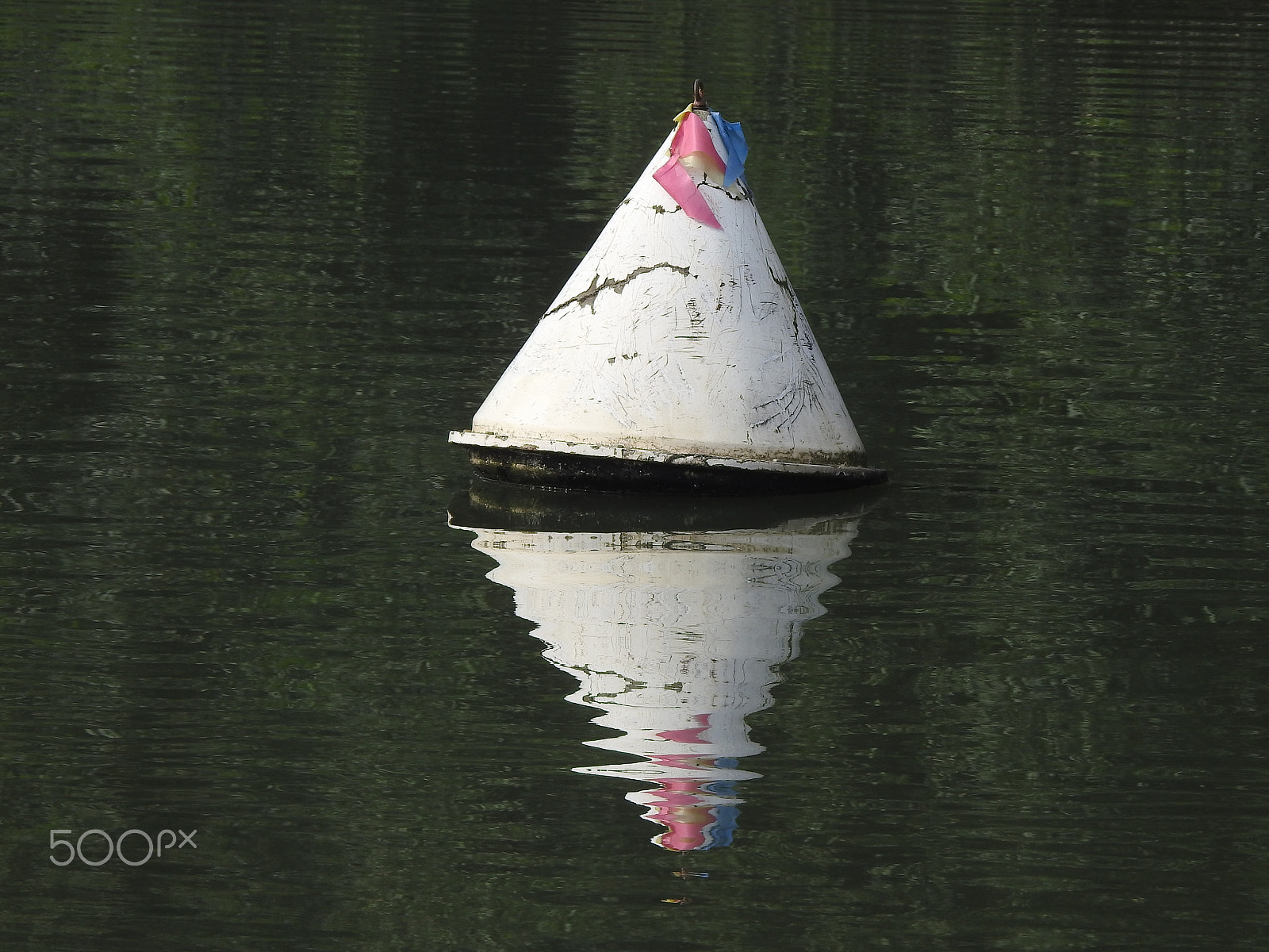 Nikon COOLPIX P900s sample photo. A floating buoy photography