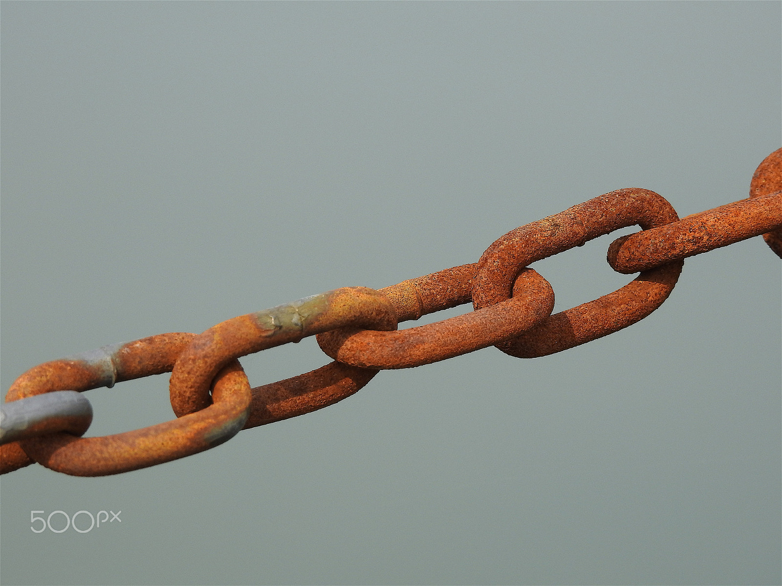 Nikon COOLPIX P900s sample photo. A rusty chain photography