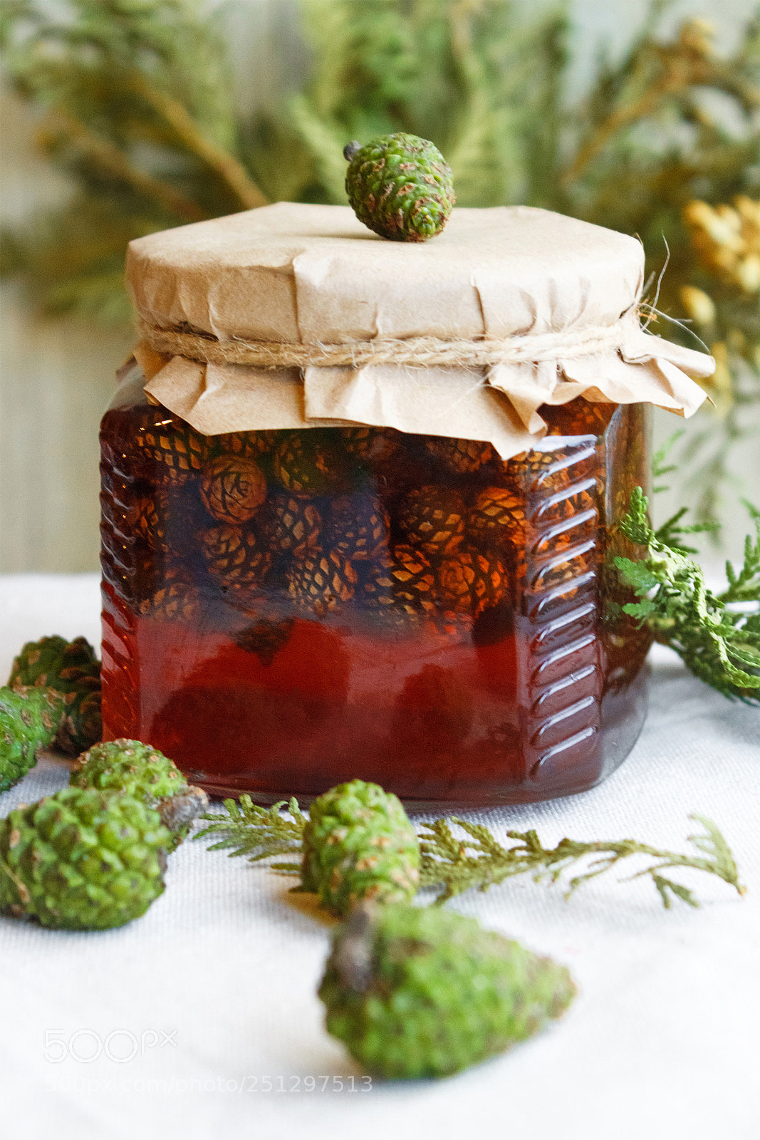 Canon EOS 650D (EOS Rebel T4i / EOS Kiss X6i) sample photo. Young pine cones jam photography