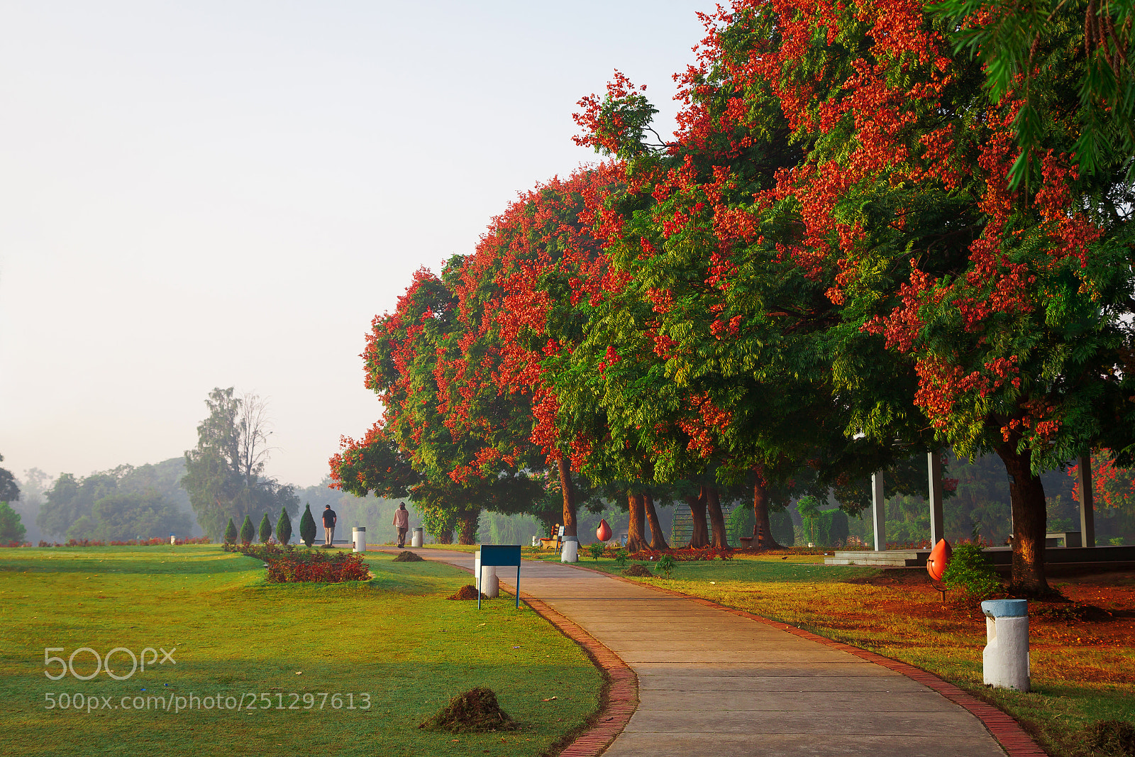 Canon EOS 5D Mark II sample photo. Tree covered garden photography