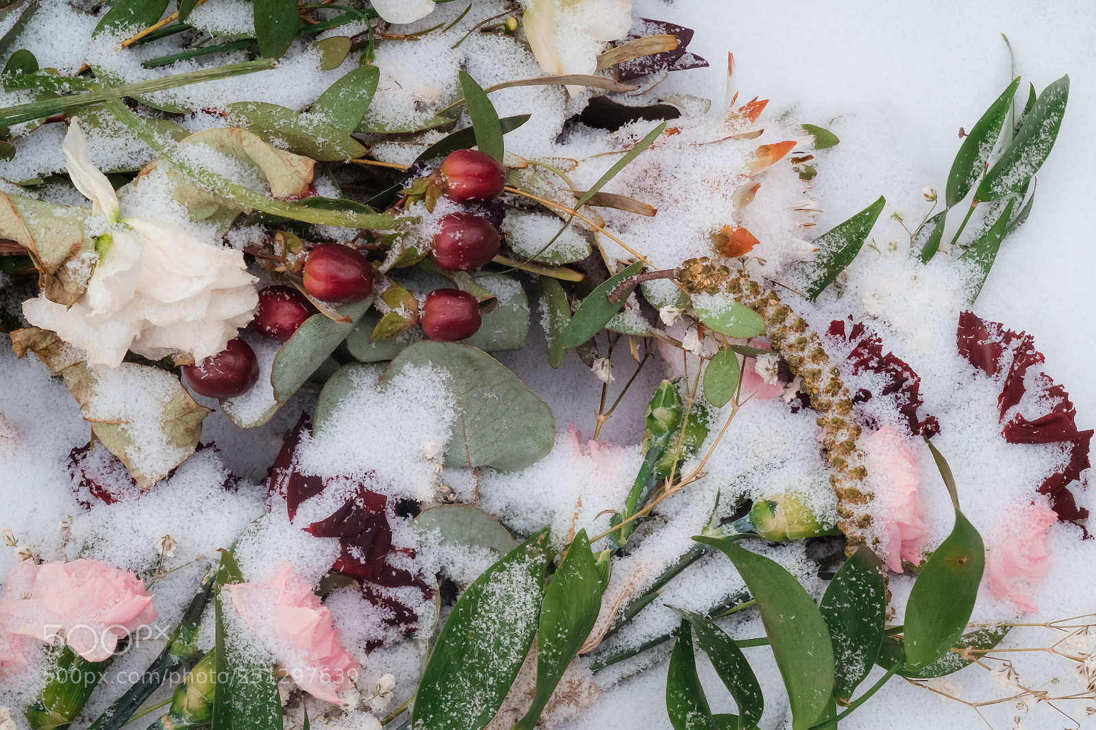 Fujifilm X-E1 sample photo. Snow bouquet photography