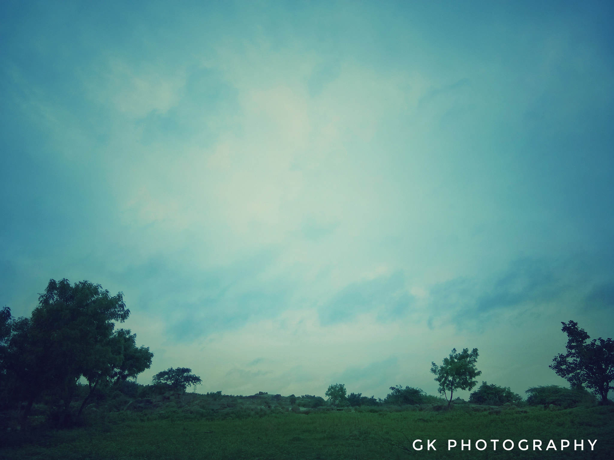 vivo 1601 sample photo