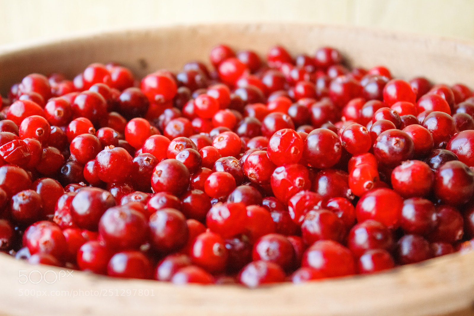 Canon EOS 650D (EOS Rebel T4i / EOS Kiss X6i) sample photo. Red berries close-up in photography