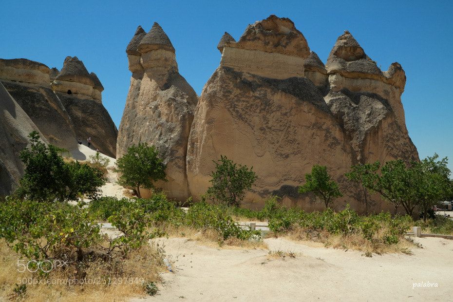 Samsung NX30 sample photo. ... photography
