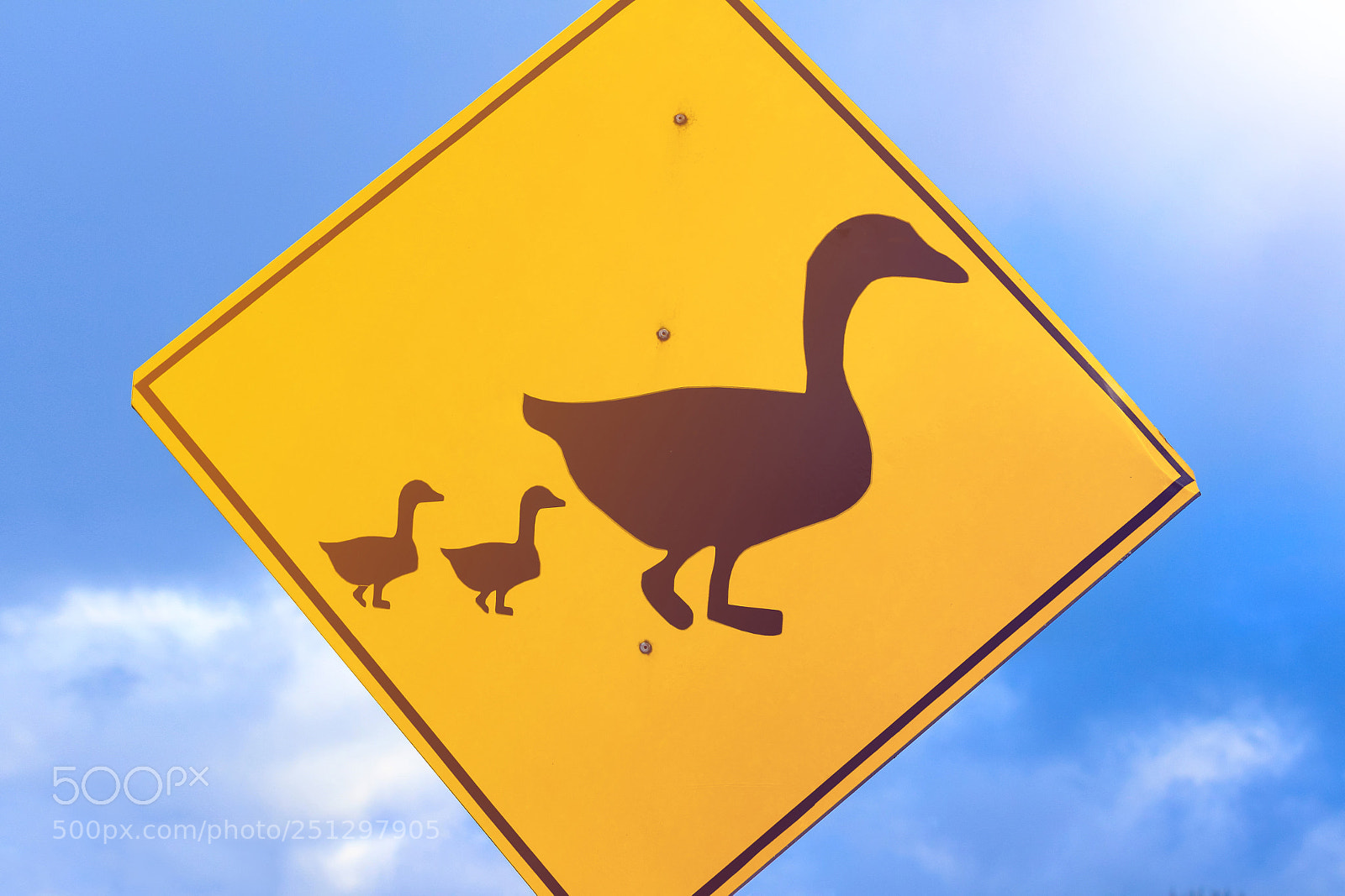 Canon EOS 650D (EOS Rebel T4i / EOS Kiss X6i) sample photo. Duck warning road sign. photography