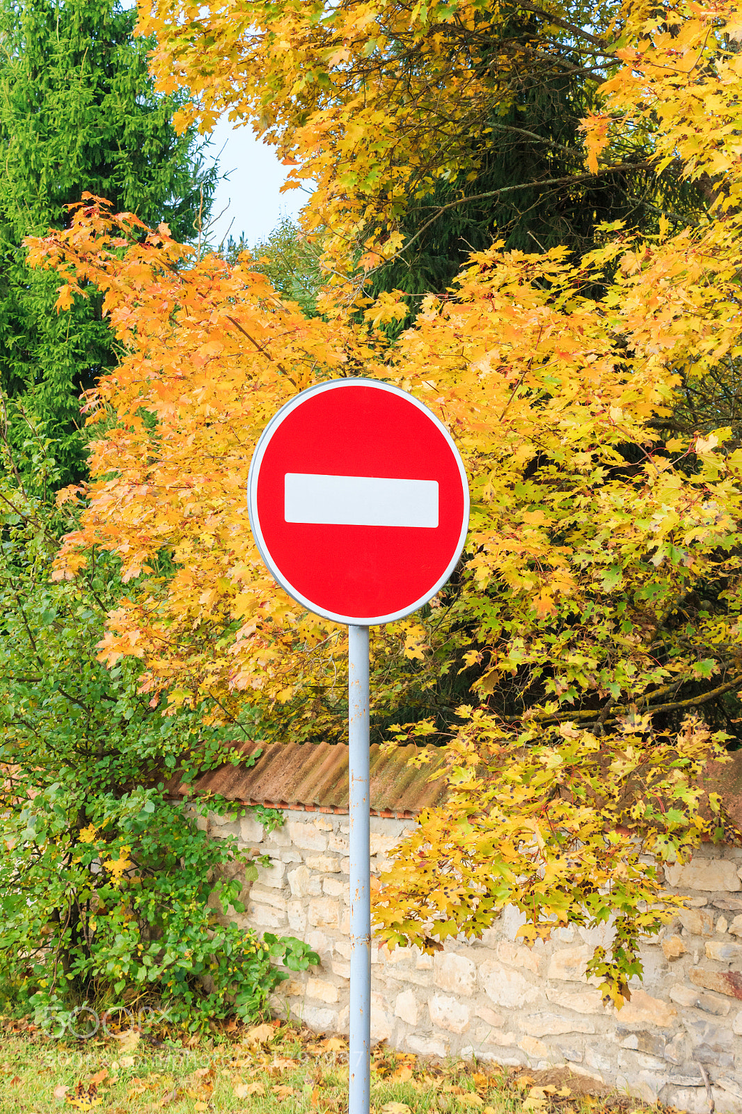 Canon EOS 650D (EOS Rebel T4i / EOS Kiss X6i) sample photo. Stop sign against forest photography