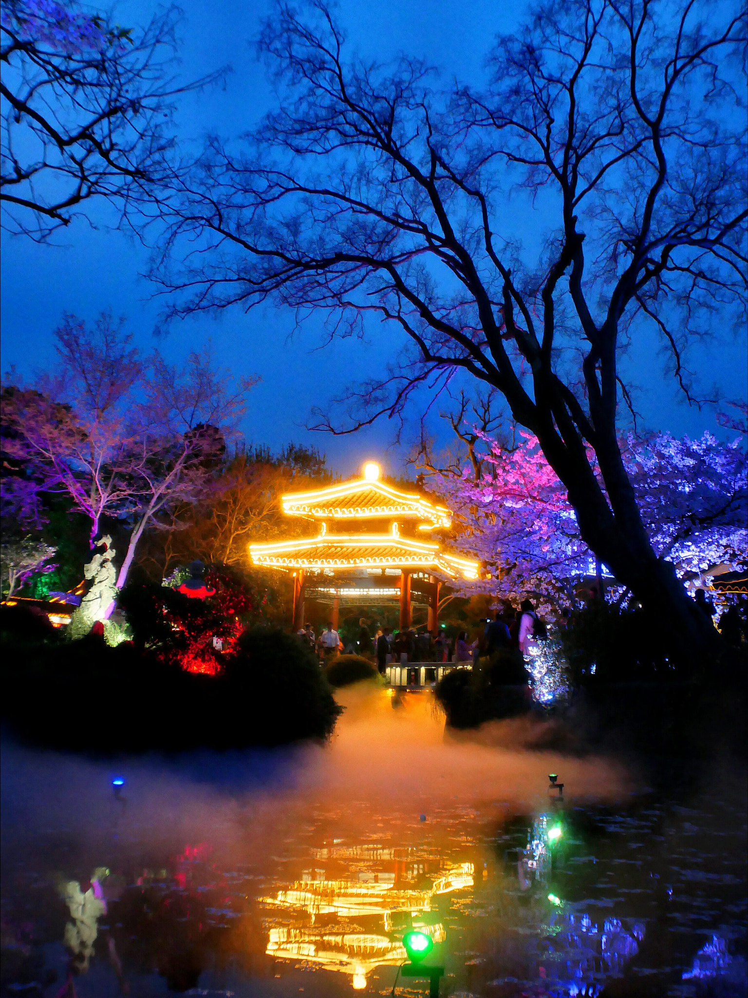 Panasonic Lumix DC-GX850 (Lumix DC-GX800 / Lumix DC-GF9) sample photo. Yuantouzhu garden, taihu lake in night photography