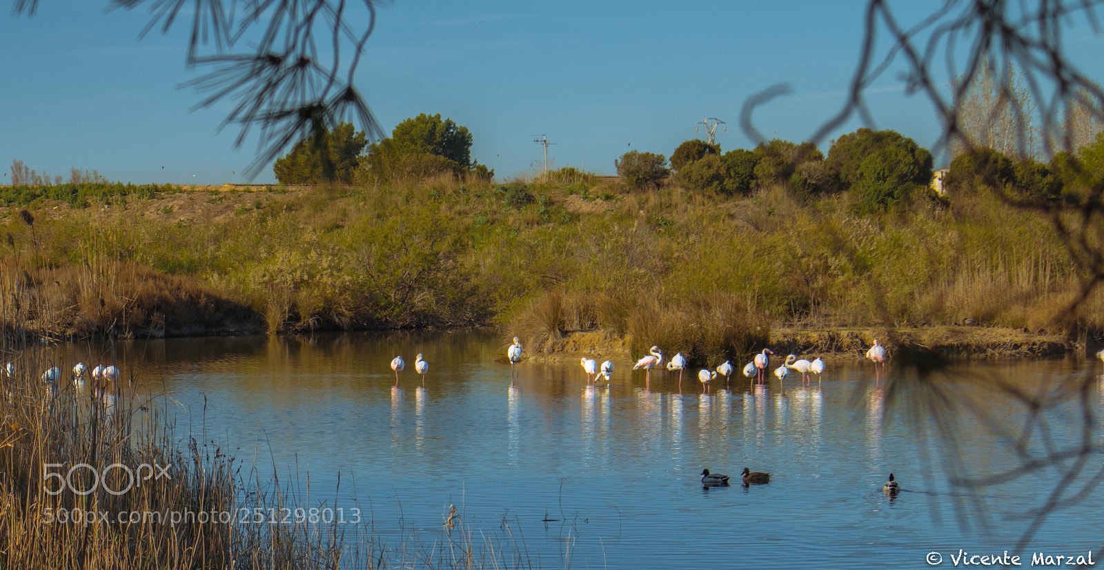 Canon EOS M6 sample photo. Albufera centro aves photography