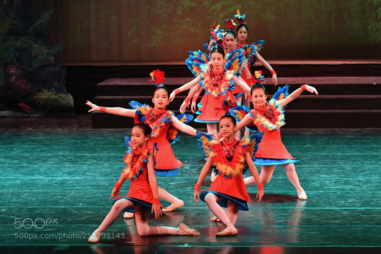 Nikon D500 sample photo. Manorah fantasy & peter pan 2018 photography
