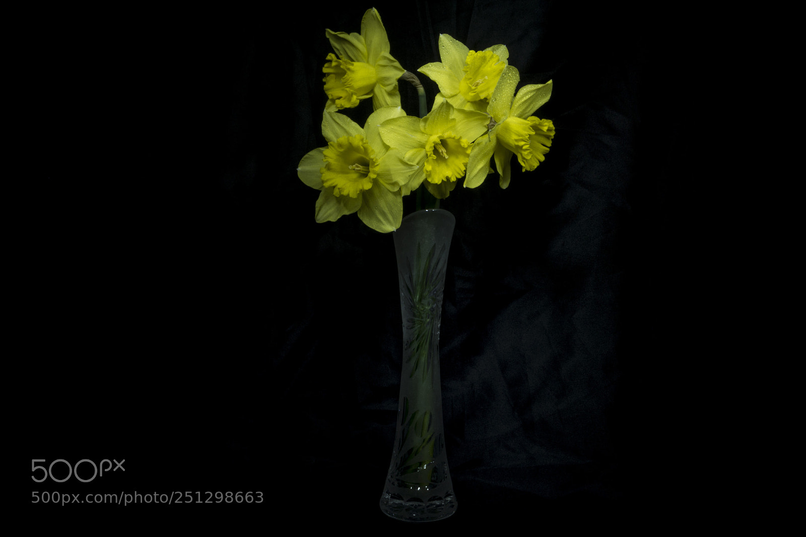 Nikon D7200 sample photo. Narcissus photography