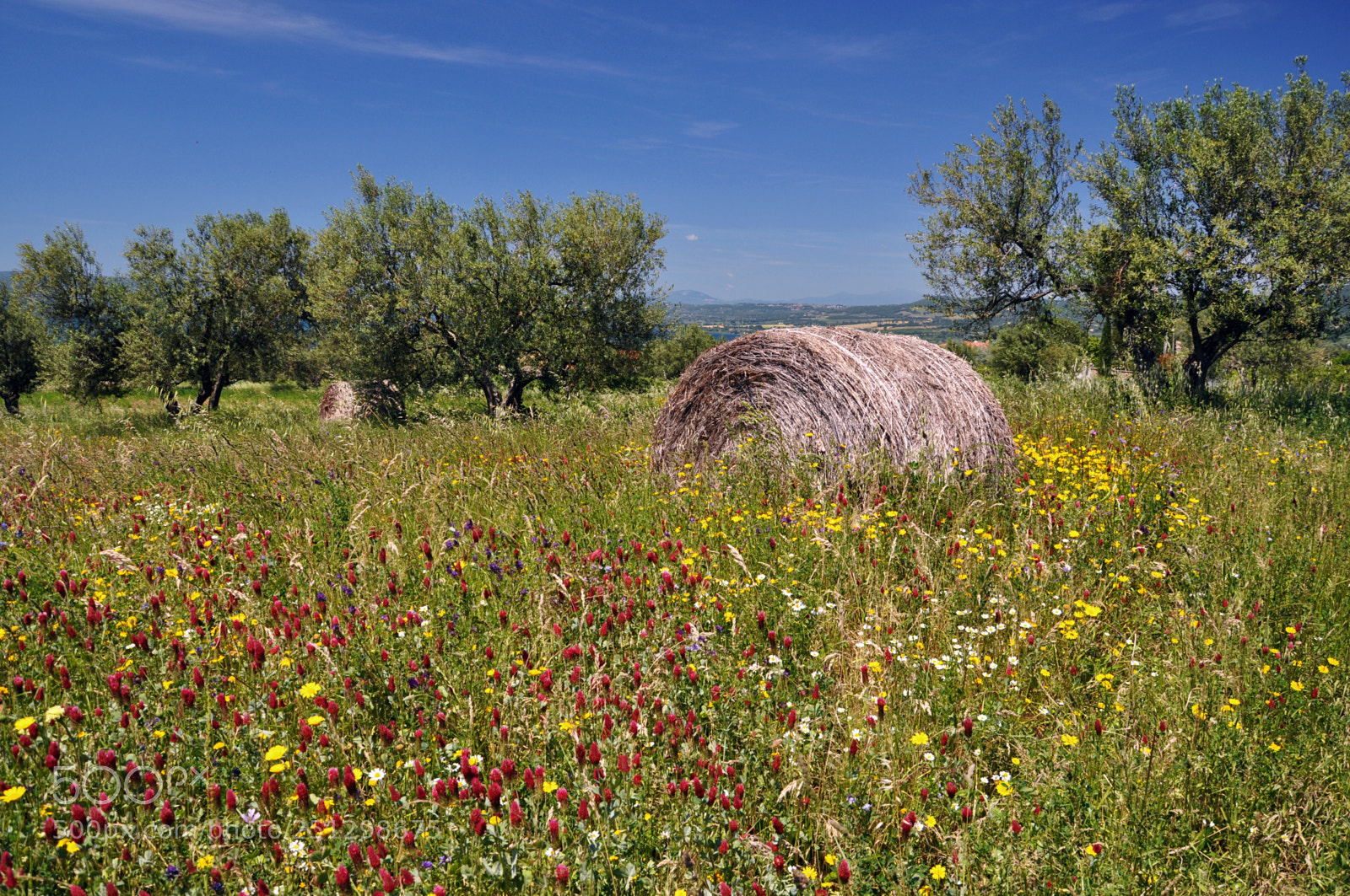 Nikon D5000 sample photo. Countryside photography