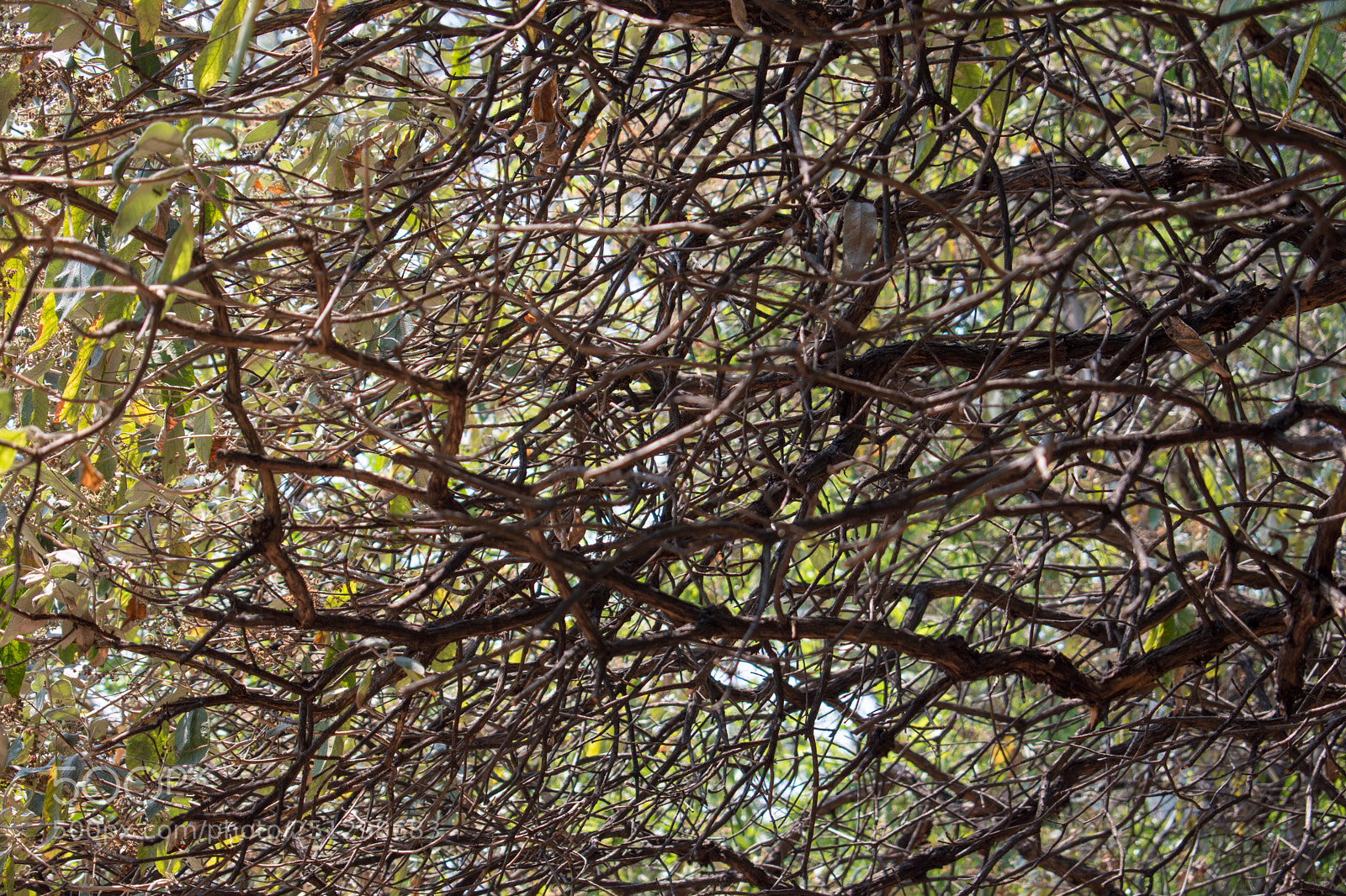 Nikon D5600 sample photo. A perfect mess  photography