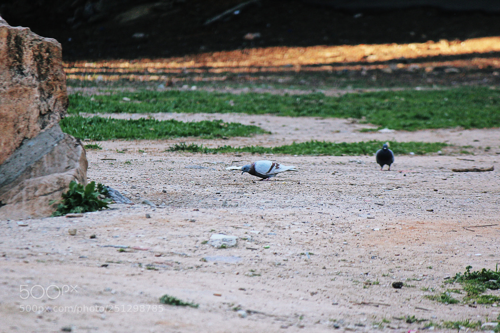 Canon EOS 600D (Rebel EOS T3i / EOS Kiss X5) sample photo. Untitled photography
