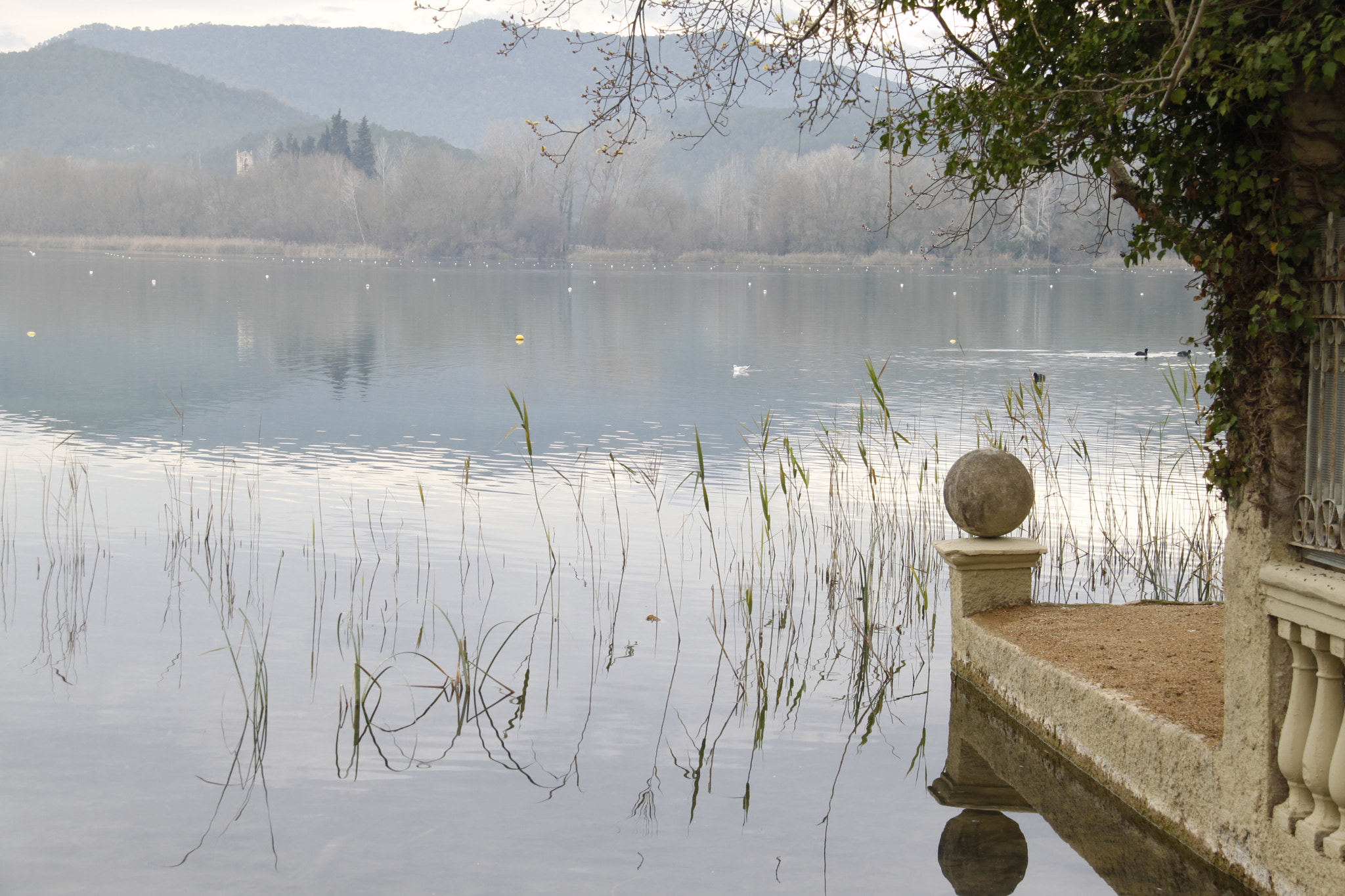 Canon EF-S 18-200mm F3.5-5.6 IS sample photo. Mg photography
