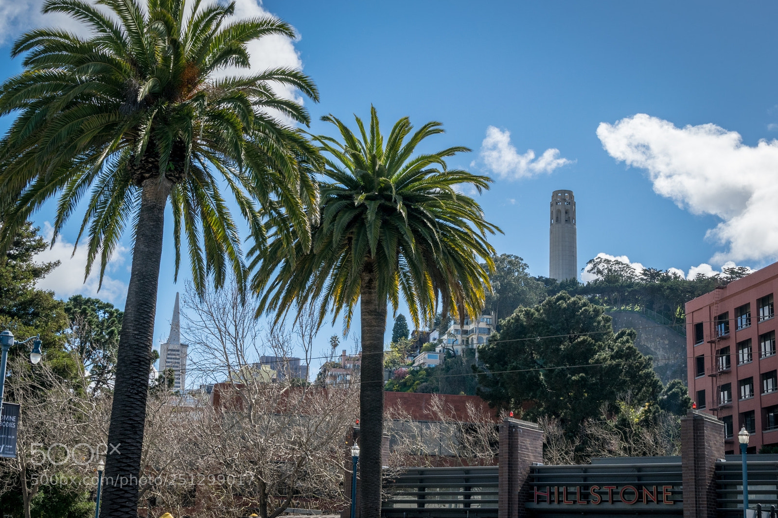 Nikon D5300 sample photo. Coit tower photography