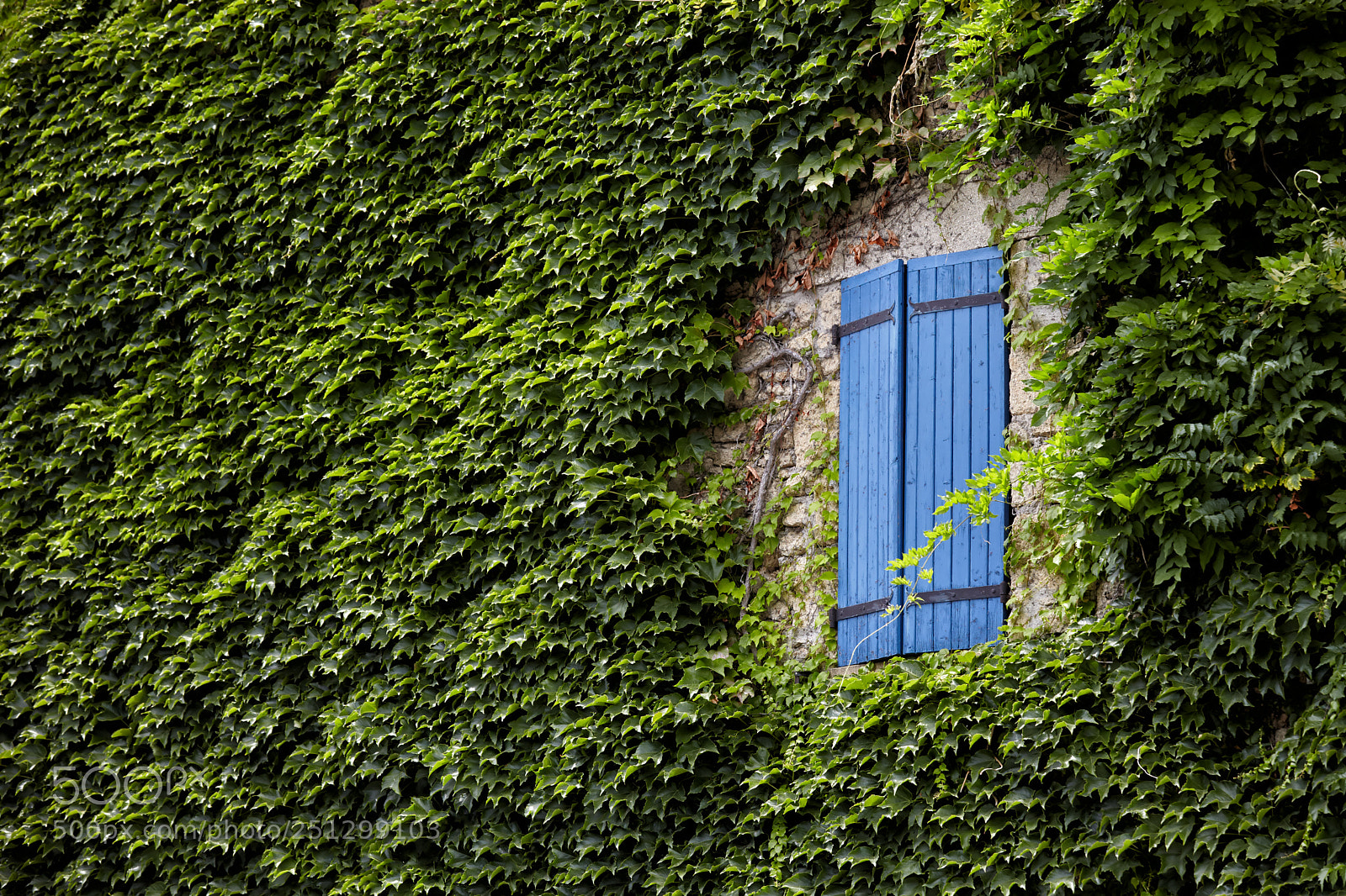 Canon EOS 5D Mark II sample photo. France 001 photography