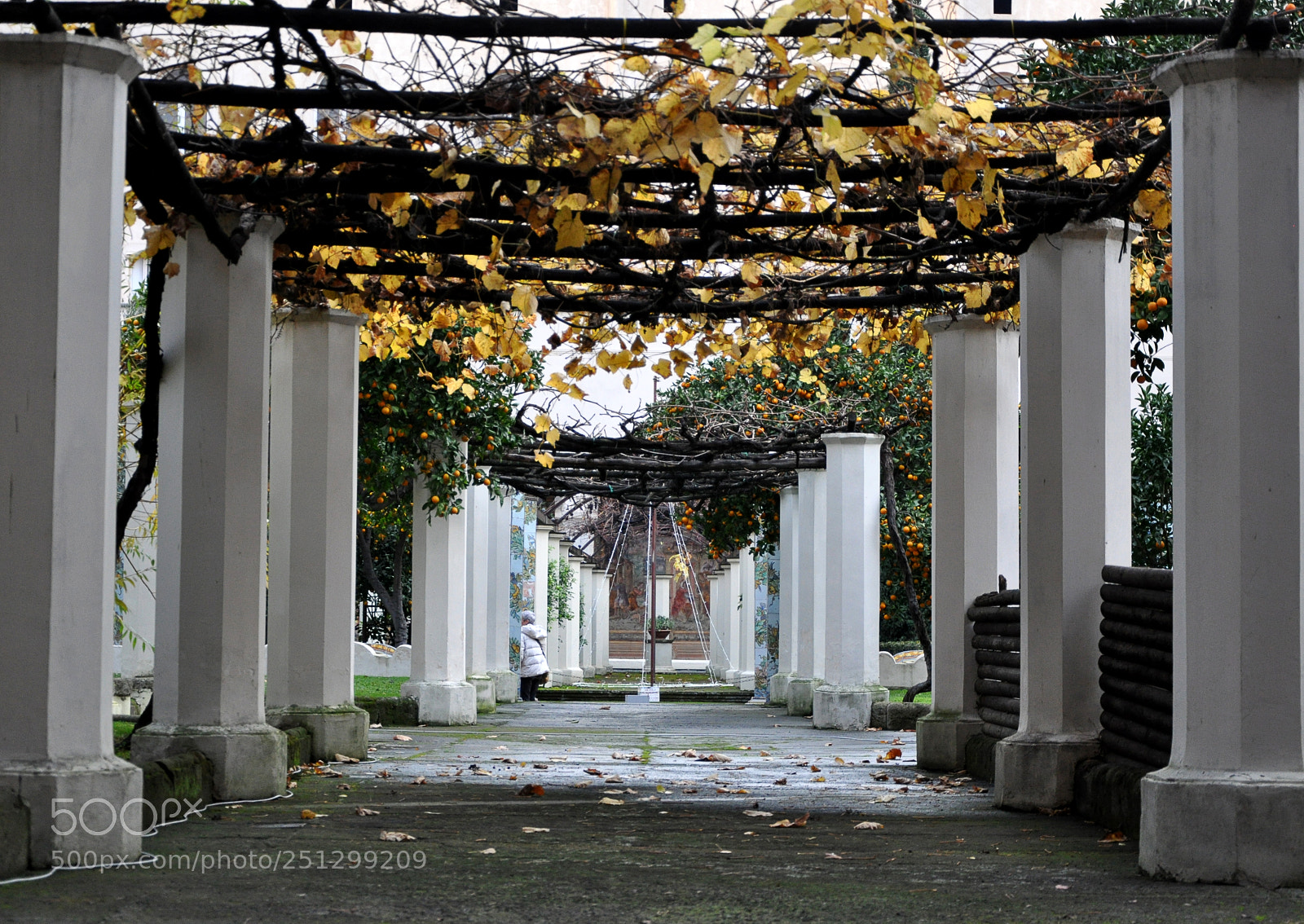 Nikon D5000 sample photo. Santa chiara cloister photography