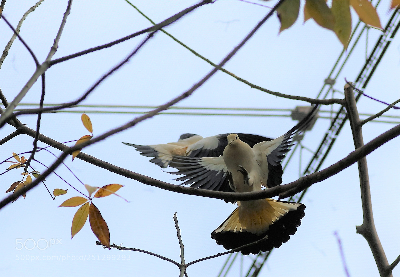 Canon EOS 5DS R sample photo. Soft landing photography