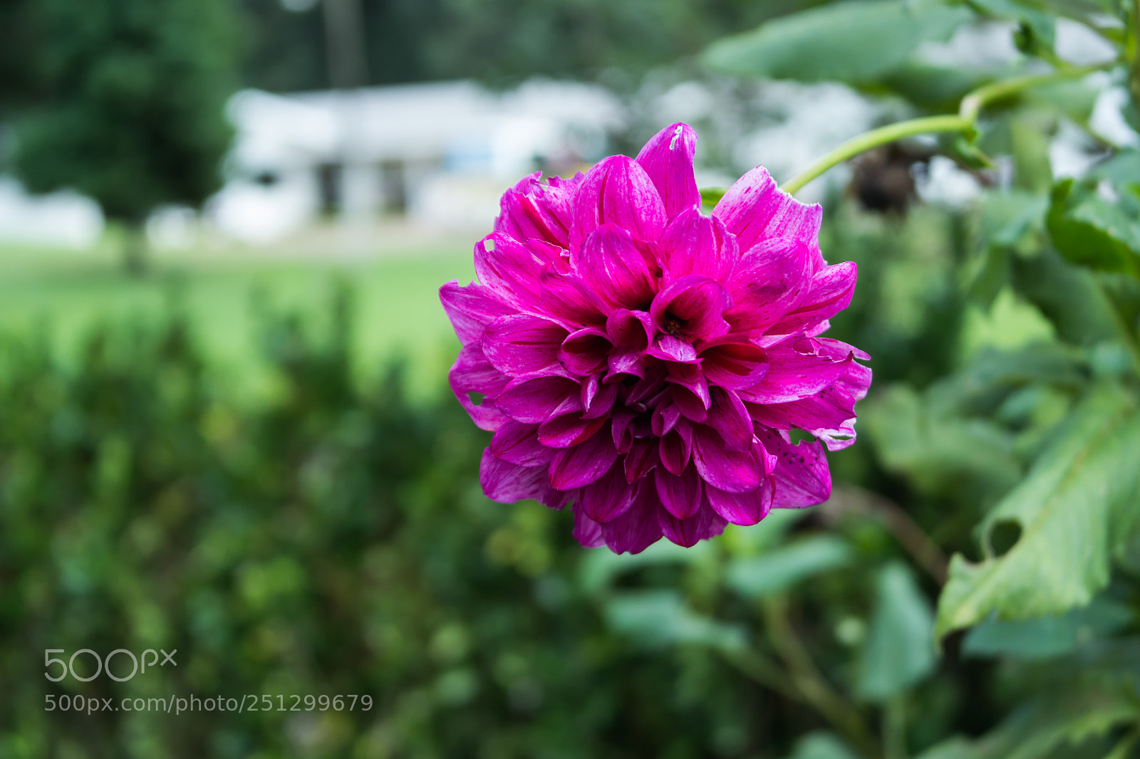 Samsung NX2000 sample photo. Nature photography
