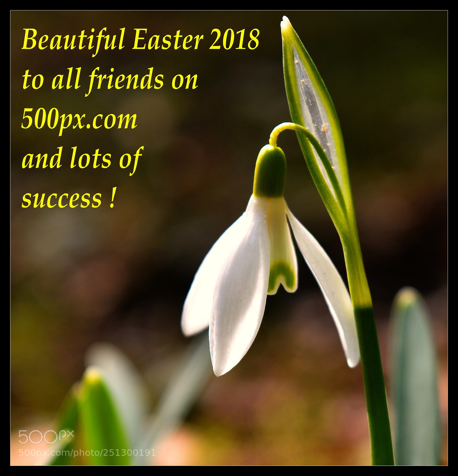 Nikon D3200 sample photo. Easter photography