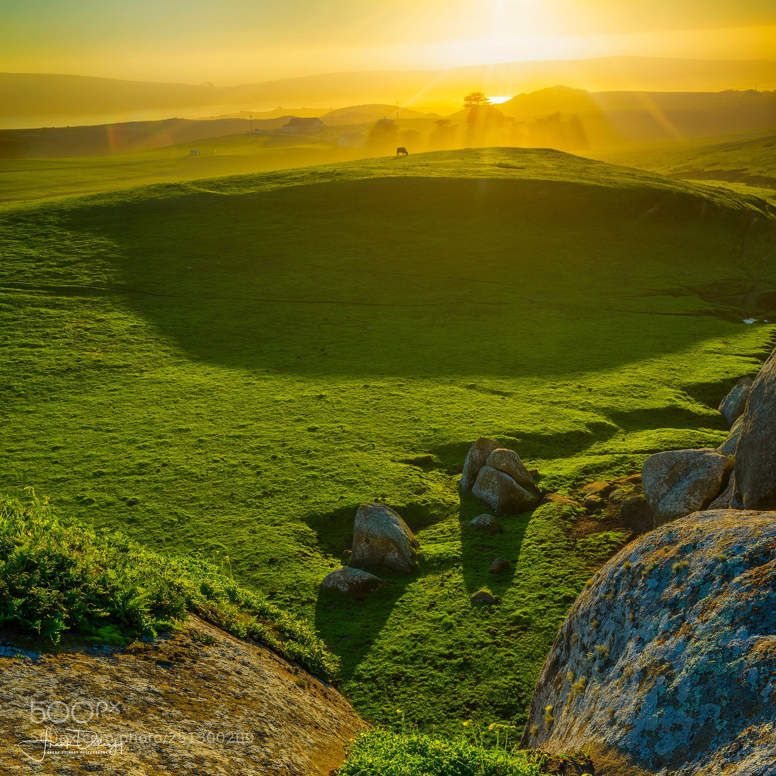 Sony a7R sample photo. Dillon beach sunset photography