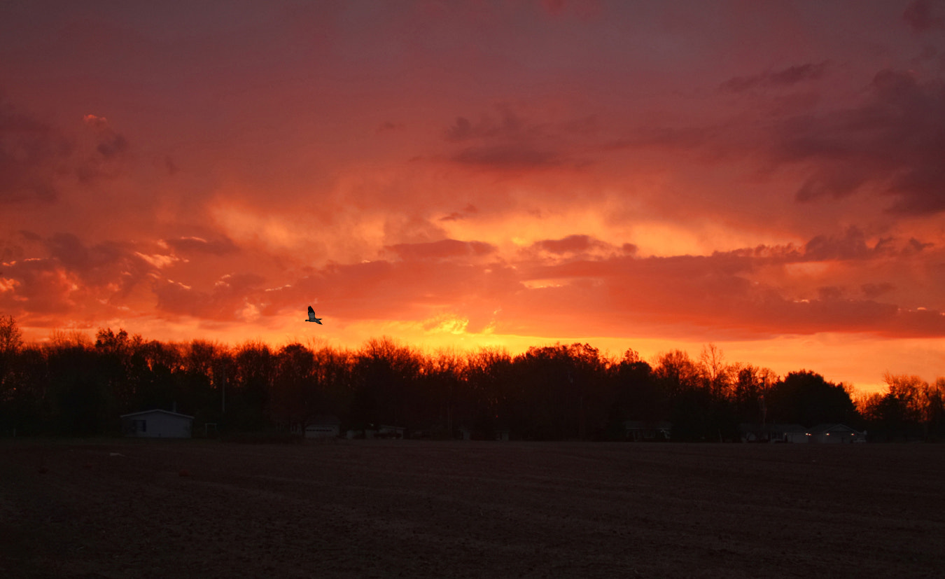 Canon EOS 40D sample photo. Ohio sunset photography