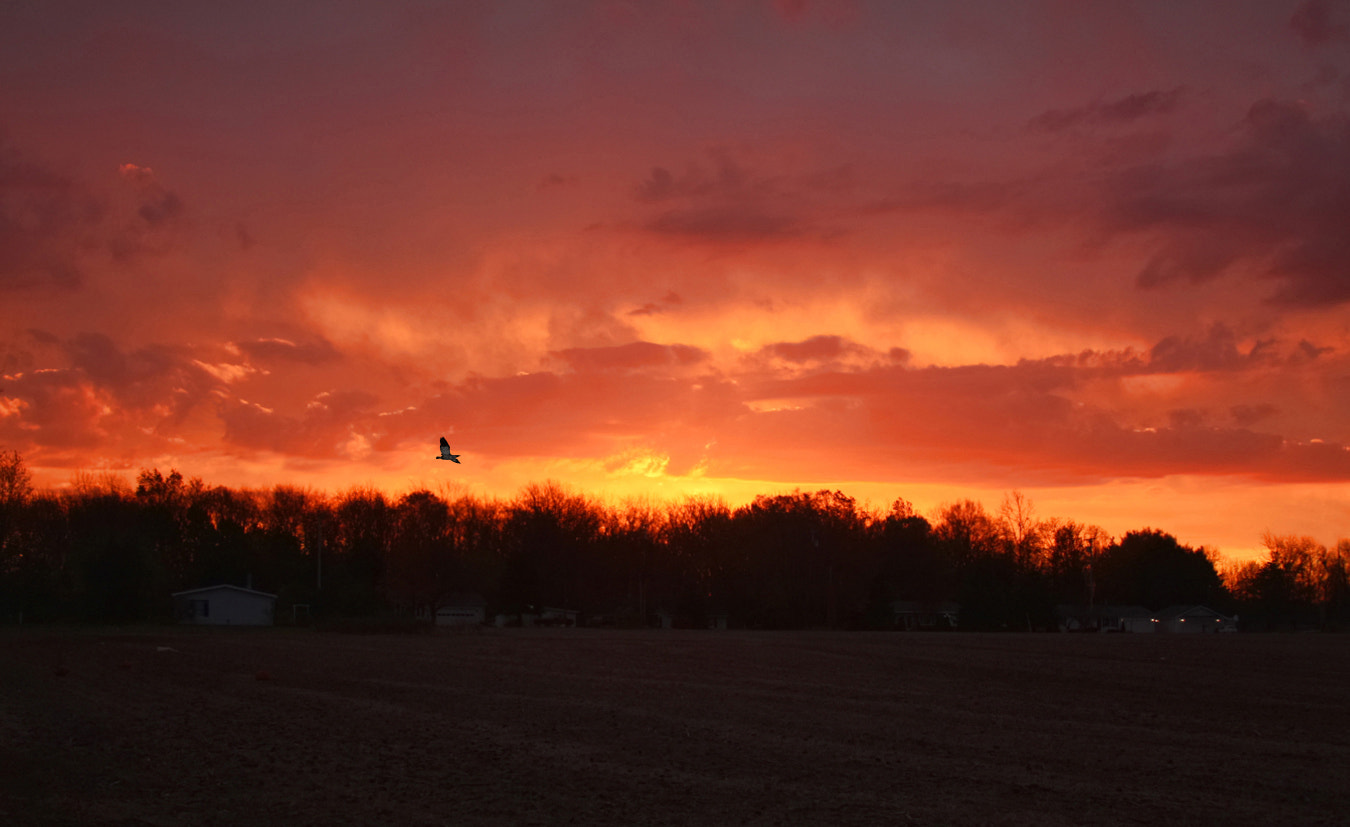 Canon EOS 40D + Canon EF 28-135mm F3.5-5.6 IS USM sample photo. Ohio sunset photography