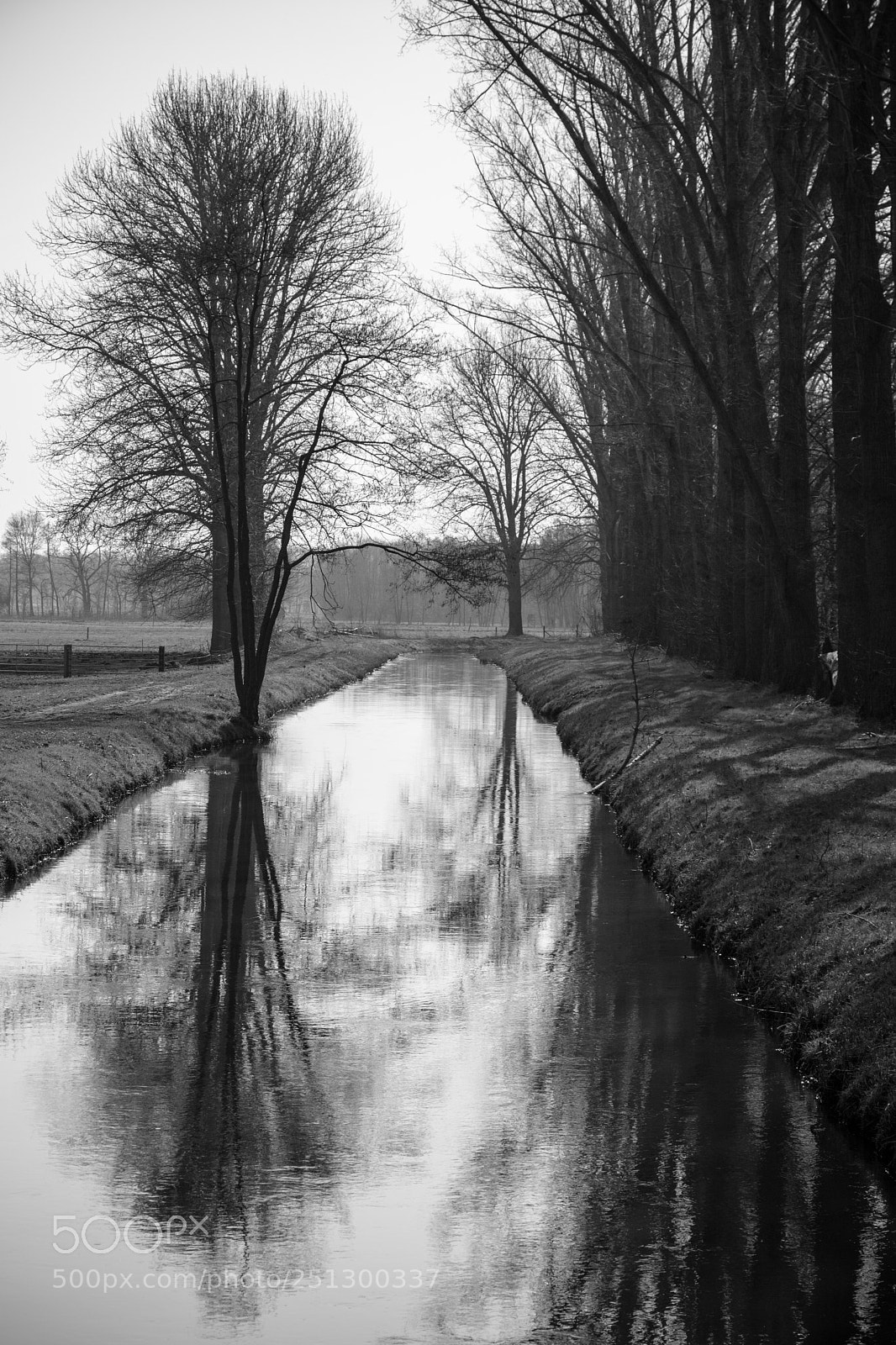 Canon EOS 5D Mark II sample photo. Water ditch photography