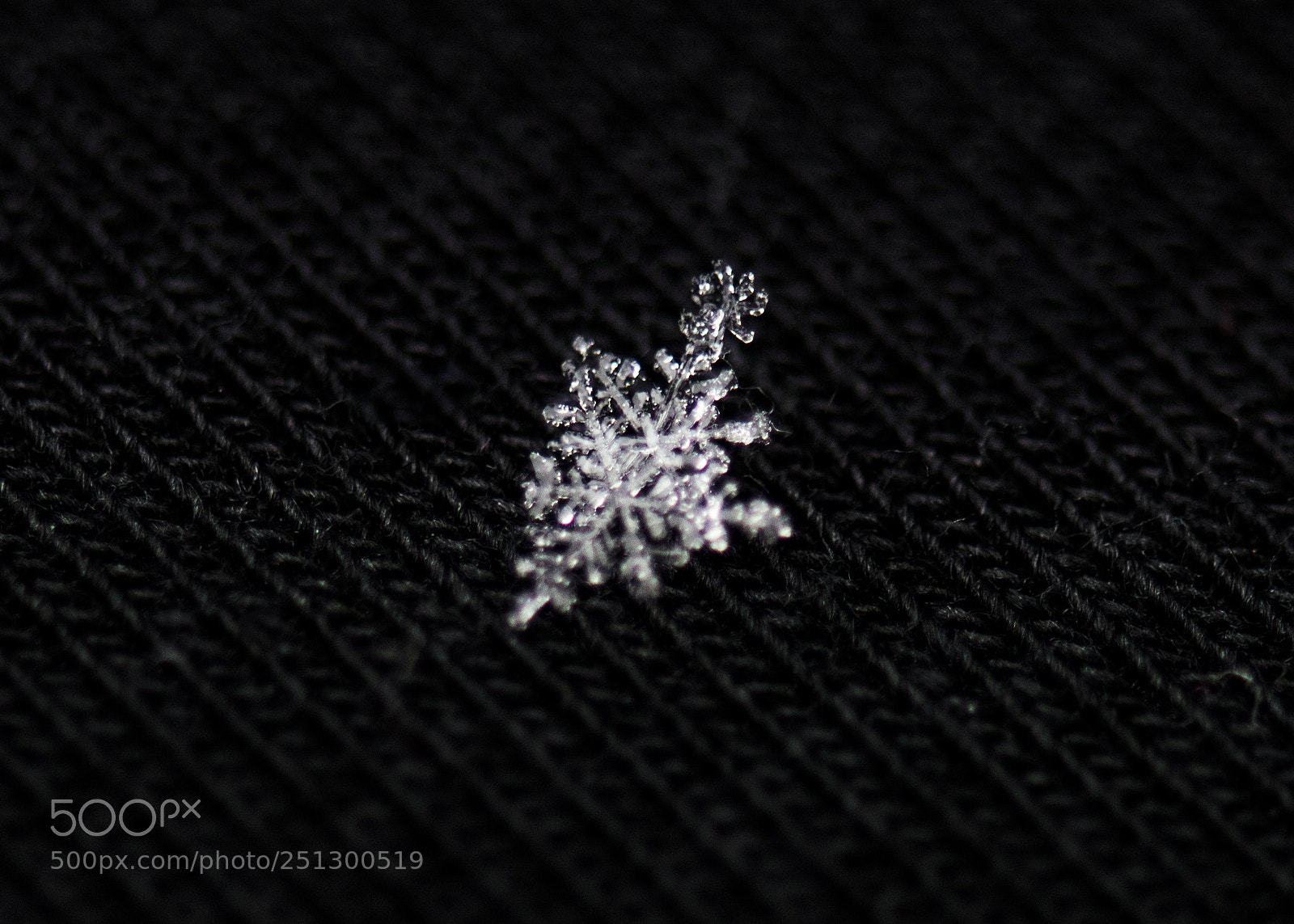 Nikon D810 sample photo. Snowflake photography