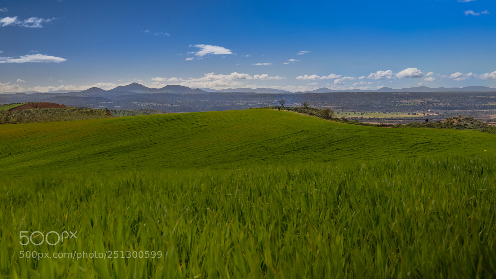 Sony a7 sample photo. Barrancas de burujon photography