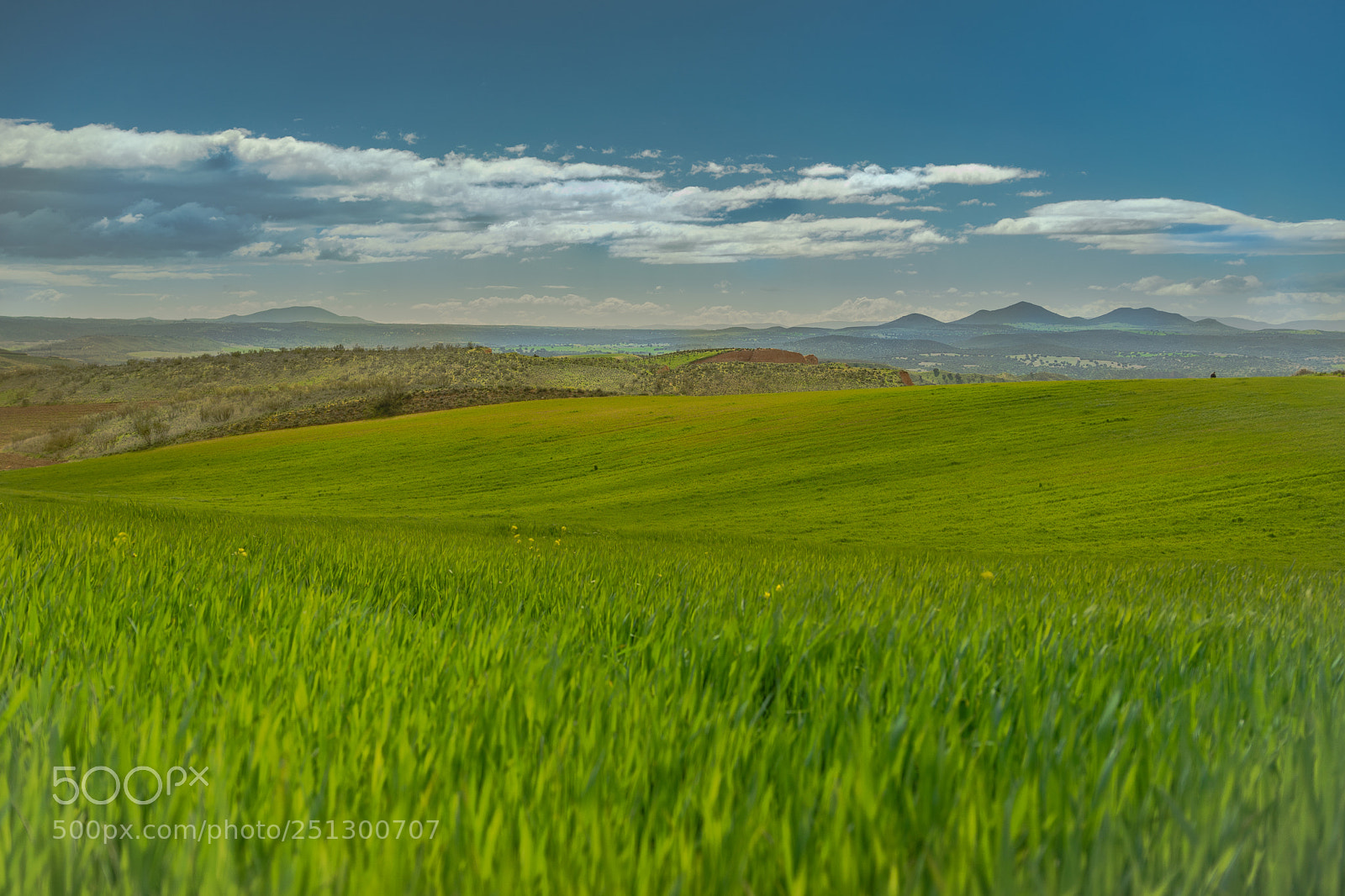 Sony a7 sample photo. Barranca dr burujon, madrid photography