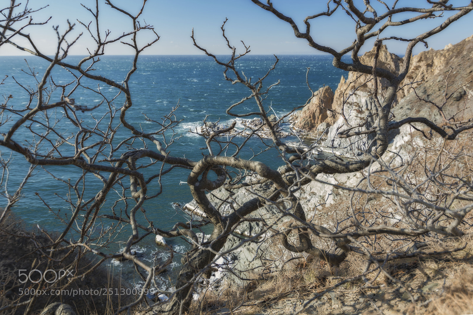 Nikon D7100 sample photo. Winter tree photography