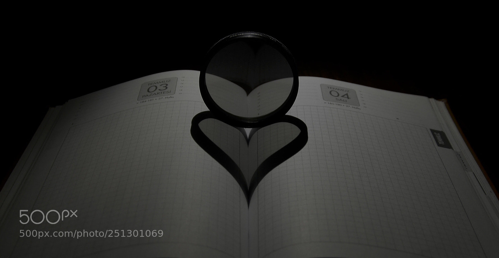 Nikon D7000 sample photo. My heart photography