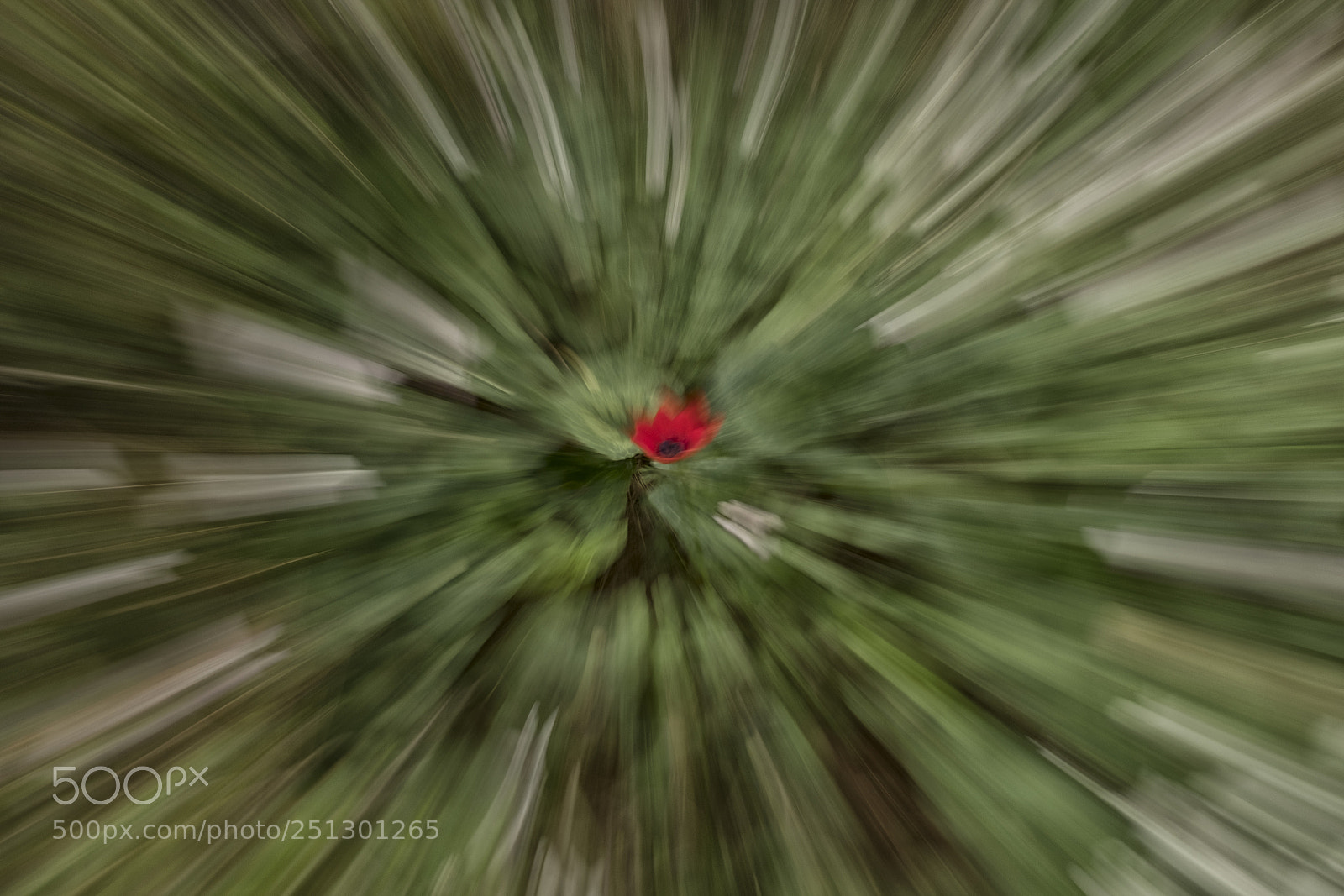 Fujifilm X-T2 sample photo. Red center photography