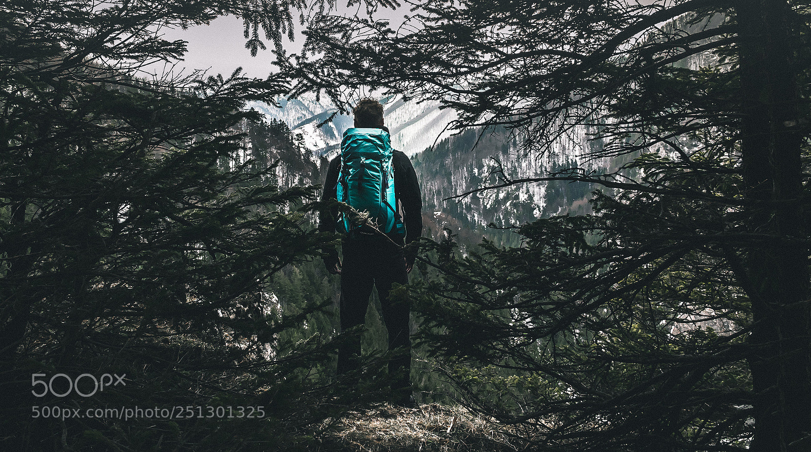 Canon EOS 600D (Rebel EOS T3i / EOS Kiss X5) sample photo. Hiking in tatras photography