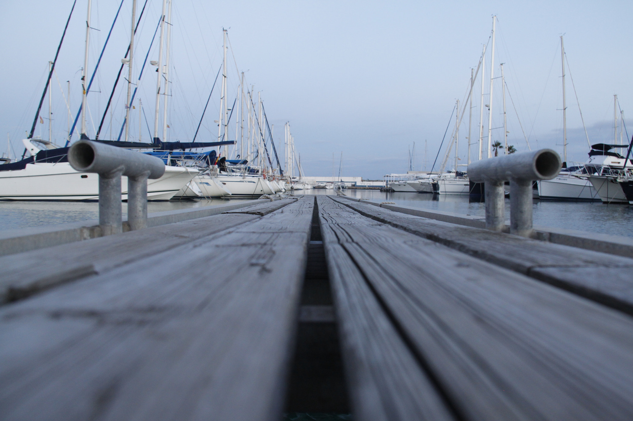 Canon EF-S 18-200mm F3.5-5.6 IS sample photo. Mg photography