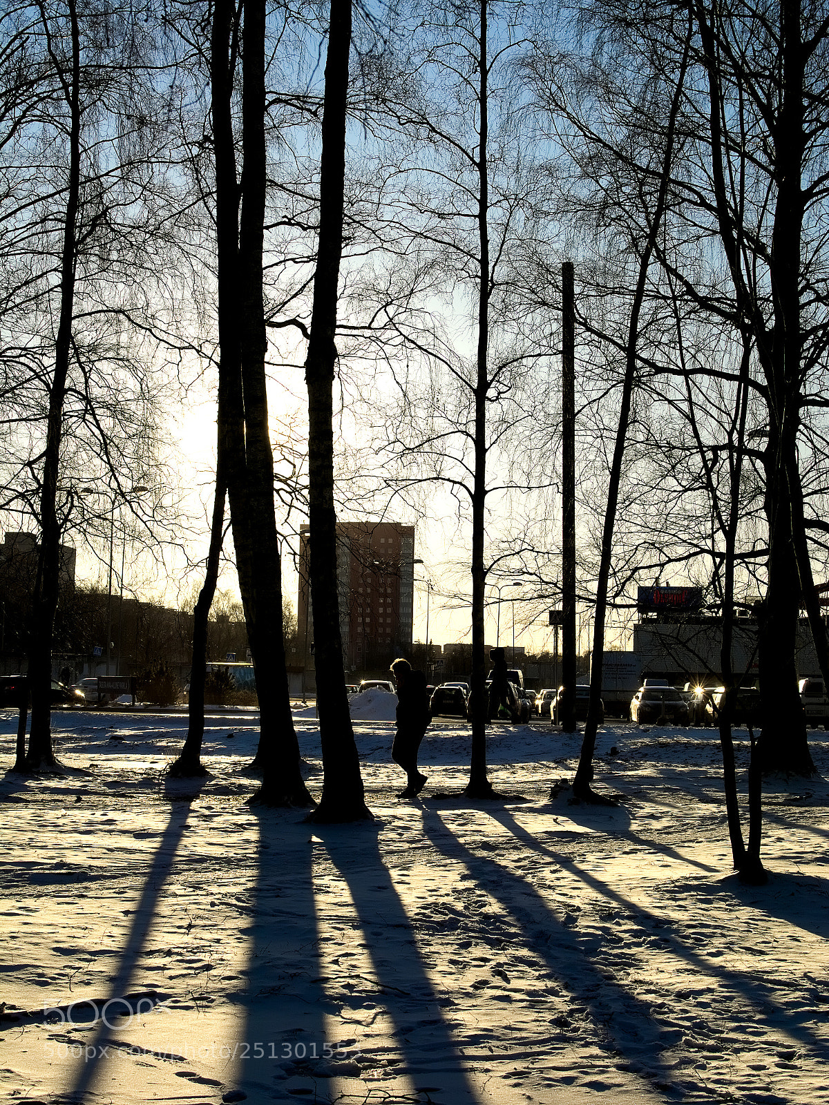 Nikon D7100 sample photo. Trees'n'stripes photography