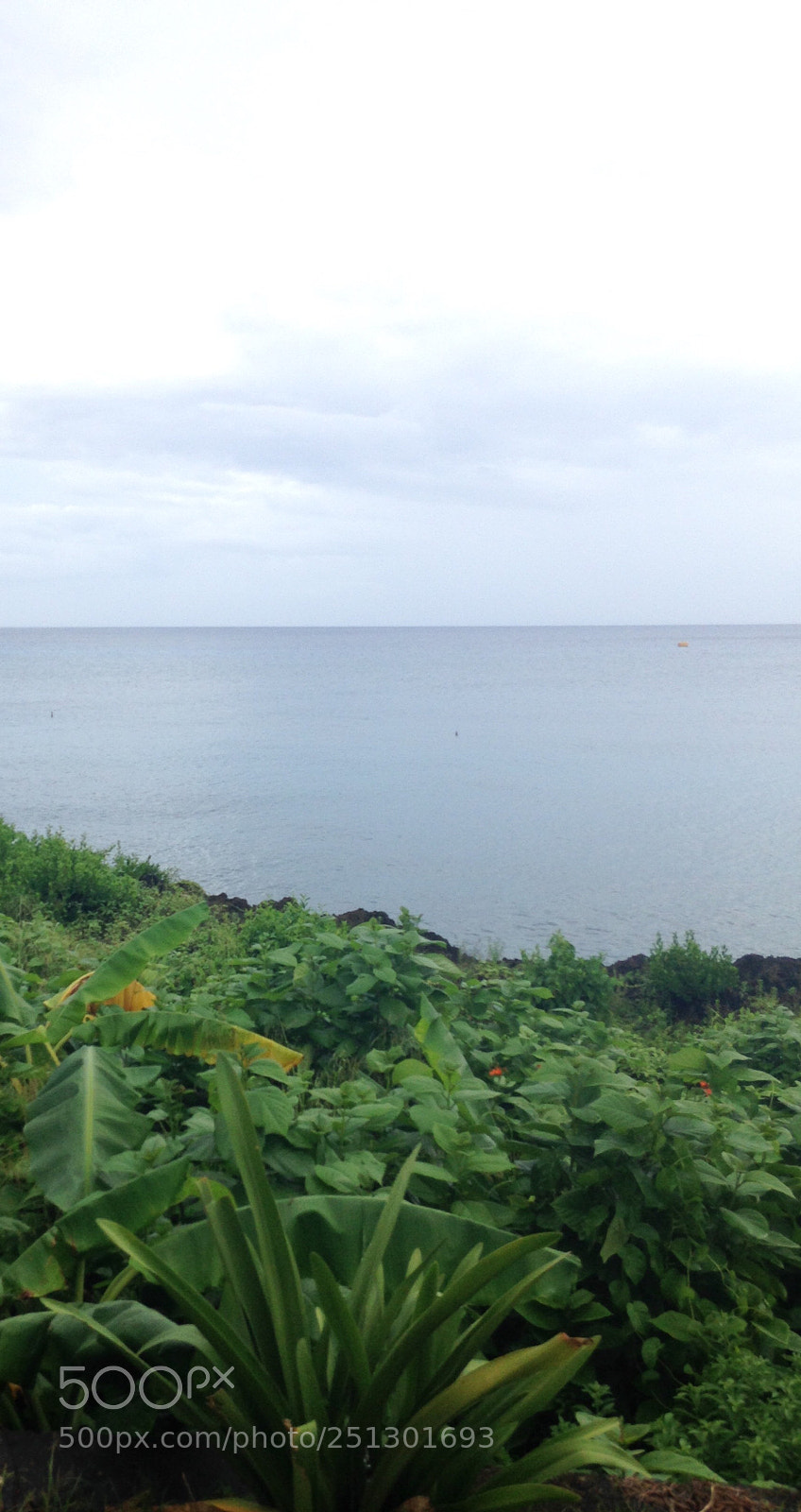 Apple iPhone 5c sample photo. Naturaleza y mar  photography