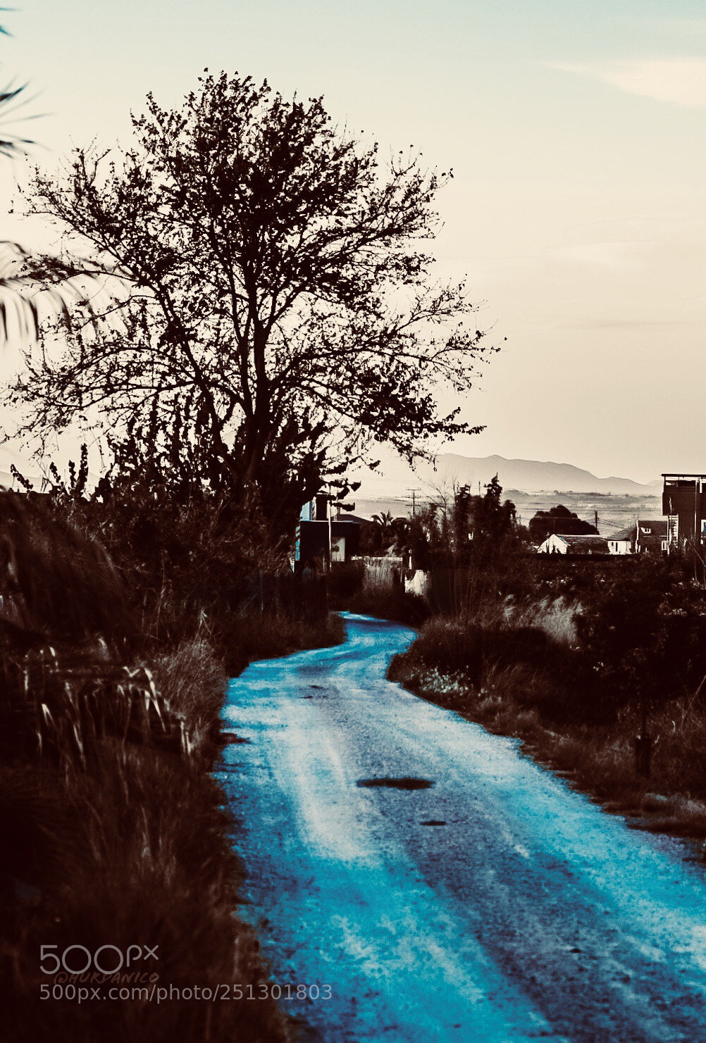 Nikon D5300 sample photo. Blue way photography