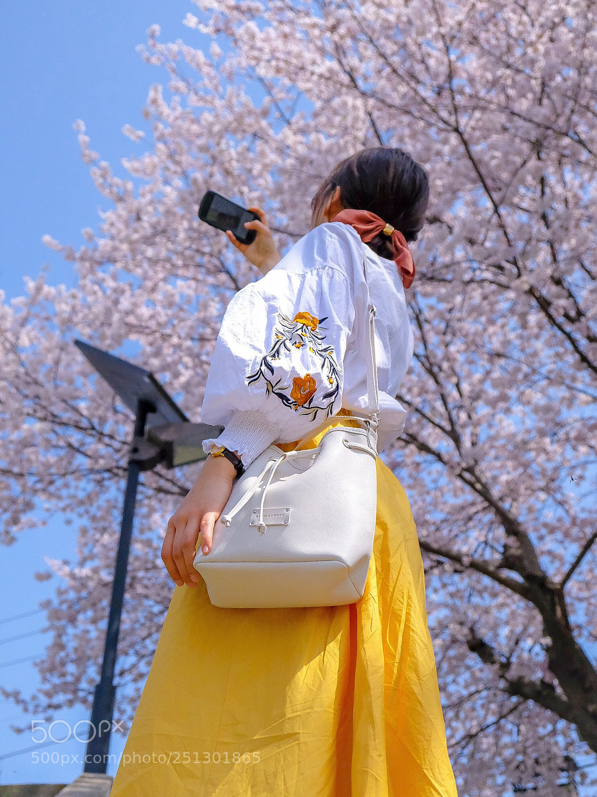 Fujifilm X-T20 sample photo. Cherry-blossom viewing party photography