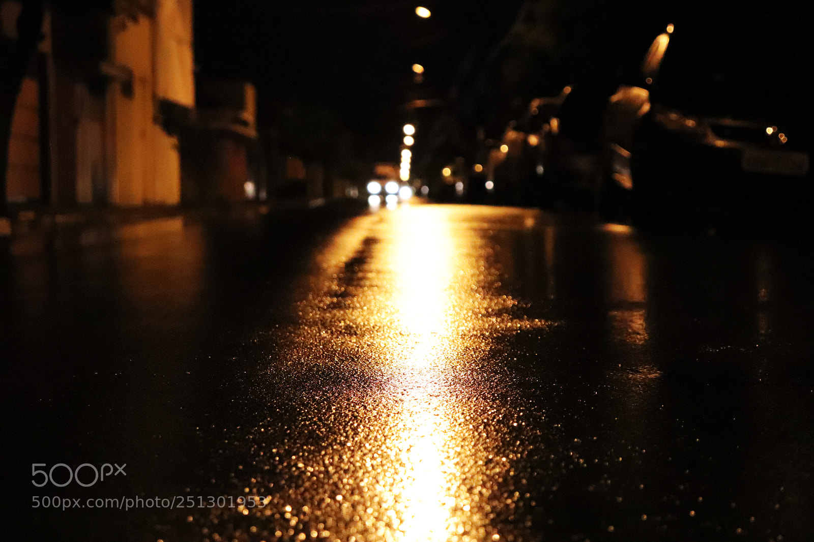 Canon EOS 800D (EOS Rebel T7i / EOS Kiss X9i) sample photo. A night to contemplate photography