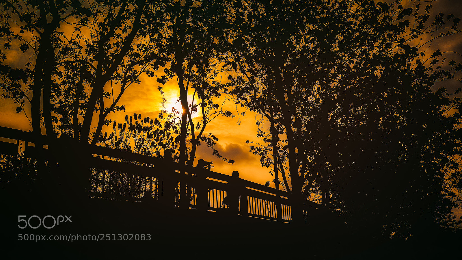 Leica Q (Typ 116) sample photo. Sunset photography