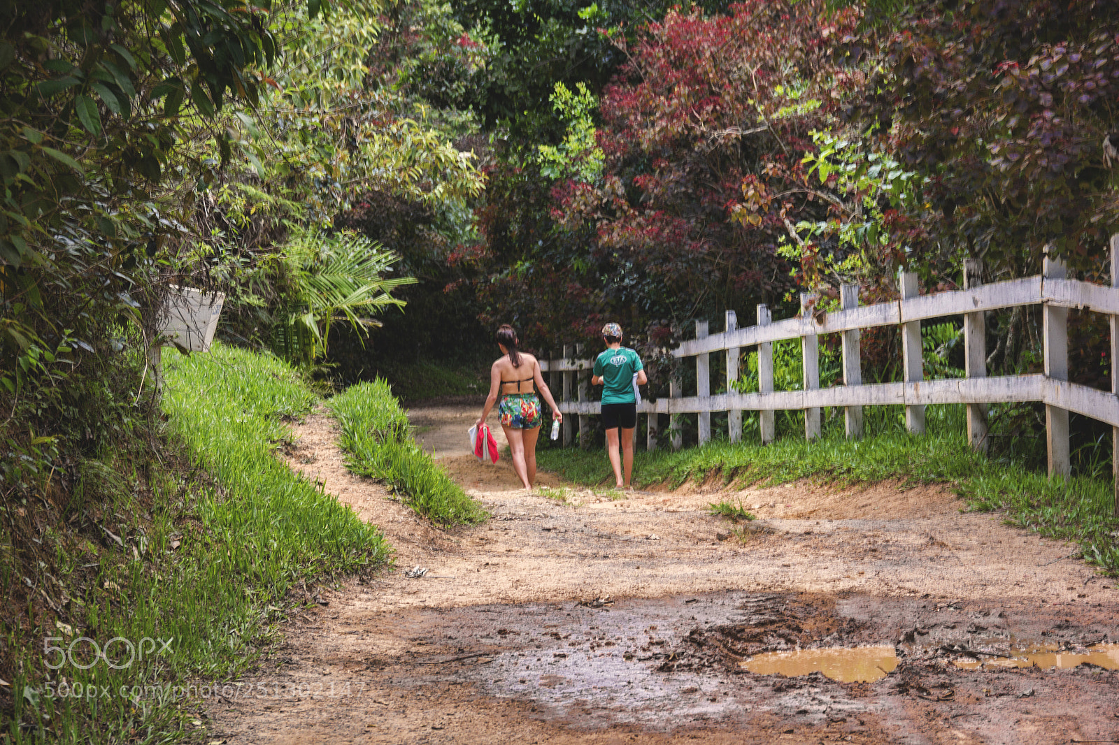 Canon EOS 60D sample photo. Where ever you've gone? photography