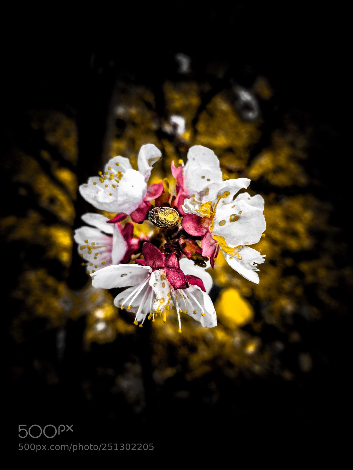 Apple iPhone 5s sample photo. Untitled photography