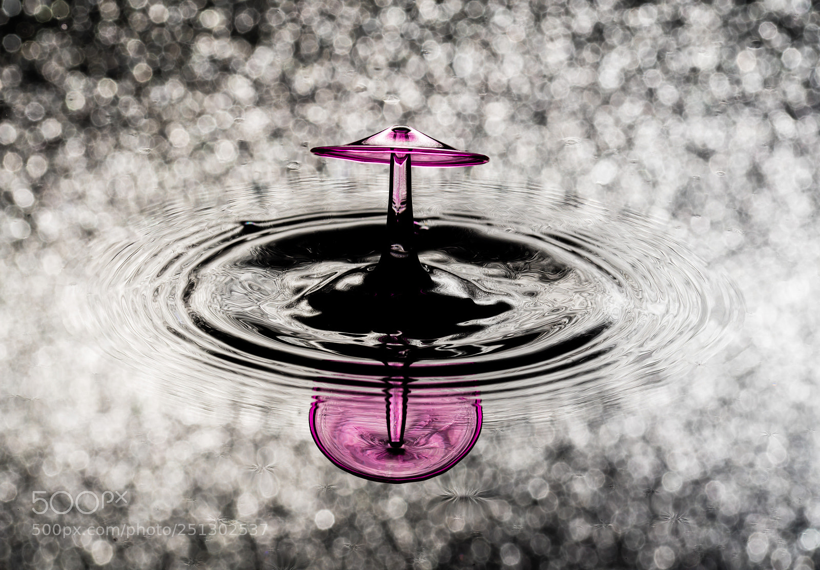 Sony a7R III sample photo. Purple photography