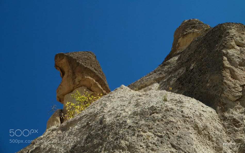 Samsung NX30 sample photo. ... photography