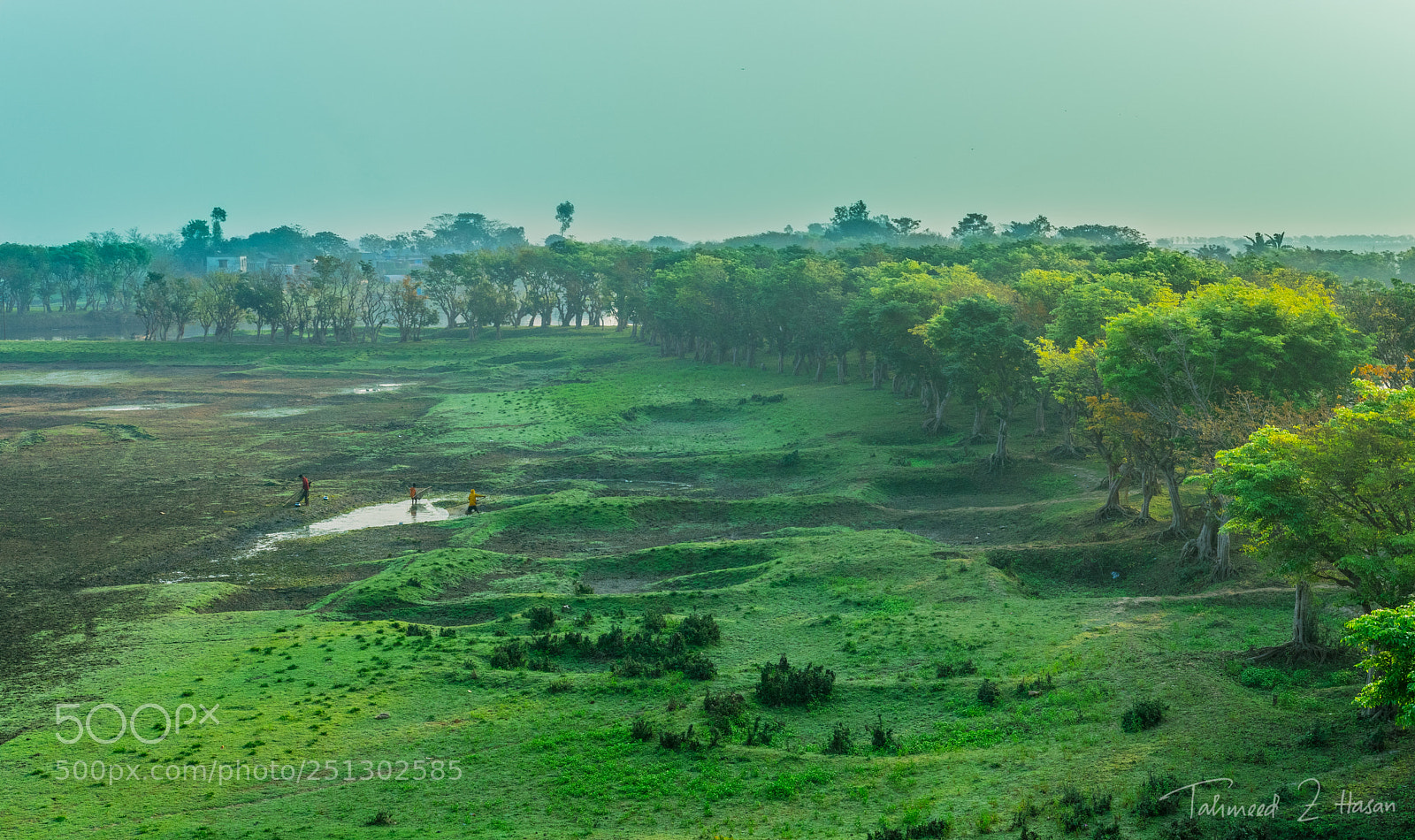 Nikon D5300 sample photo. Green photography