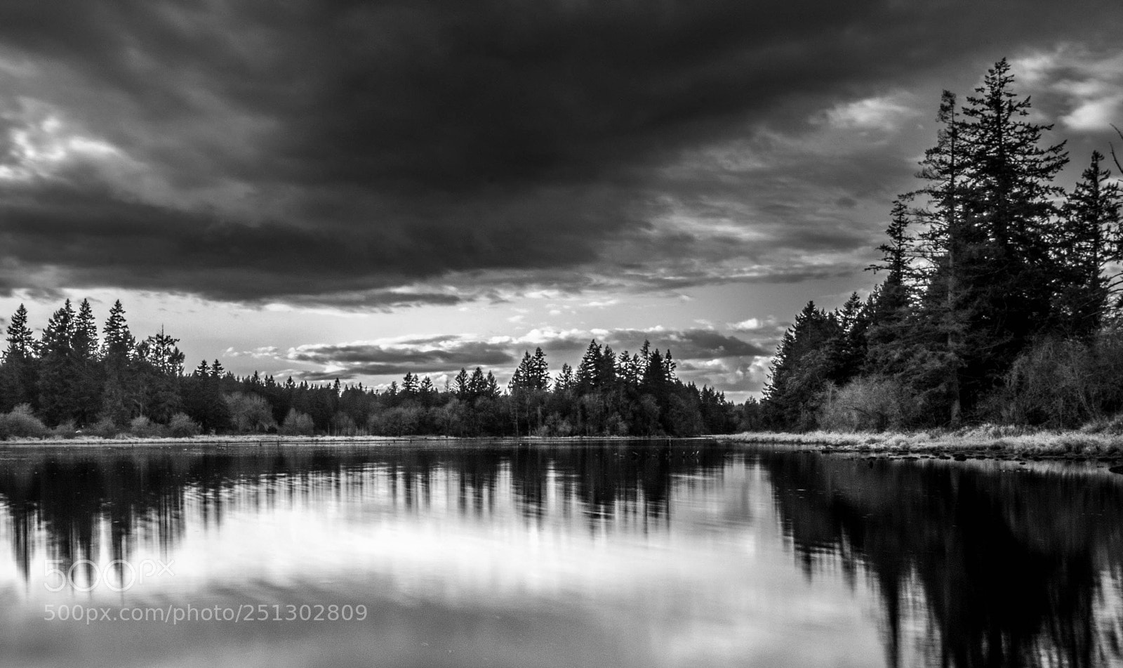 Pentax K-5 II sample photo. Graham pond b&w photography